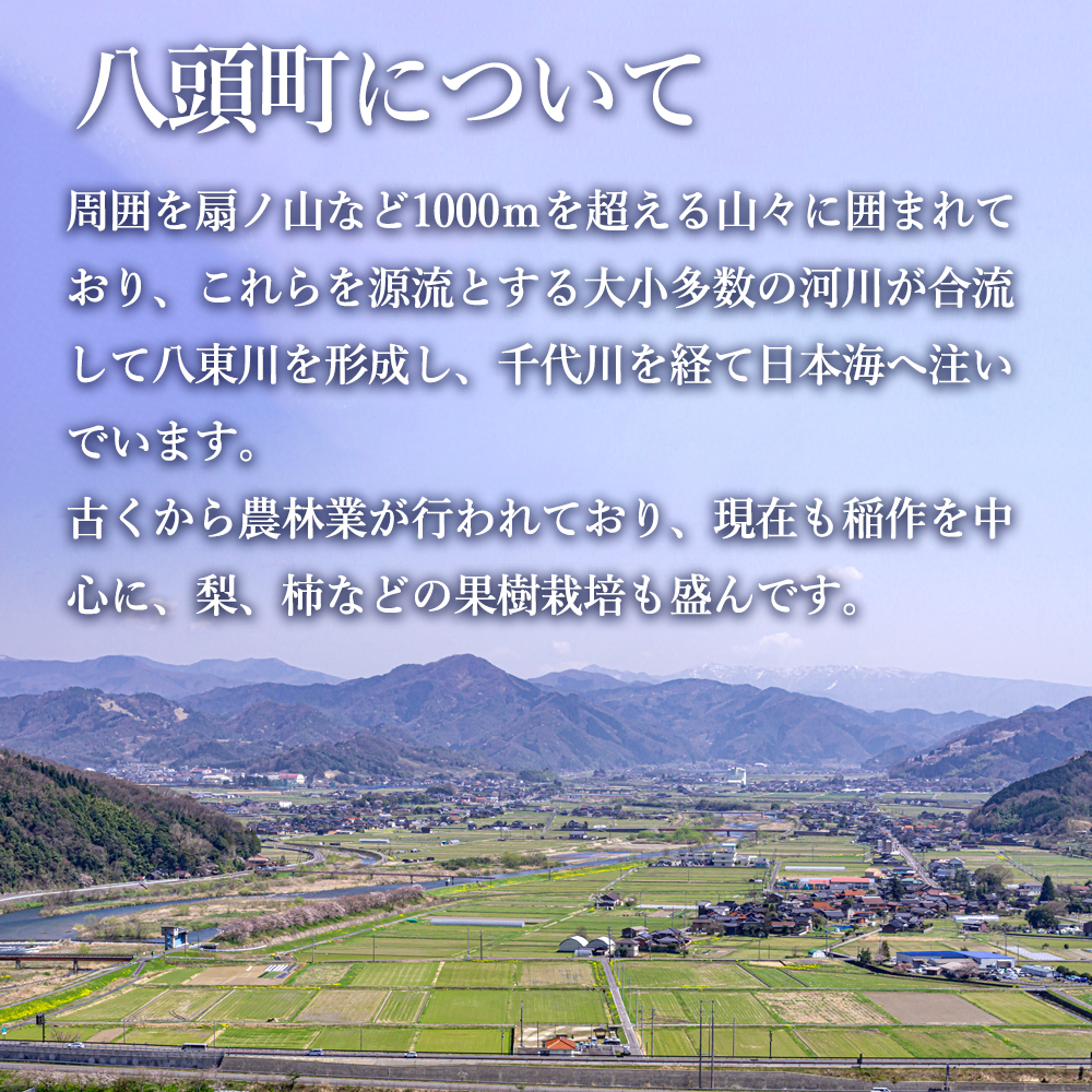 ふるさと納税】日本縫製オーダーシャツセット（形態安定生地or綿100%）お仕立券