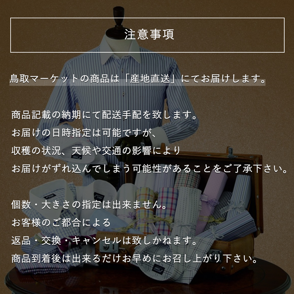 ふるさと納税】日本縫製オーダーシャツセット（形態安定生地or綿100%）お仕立券